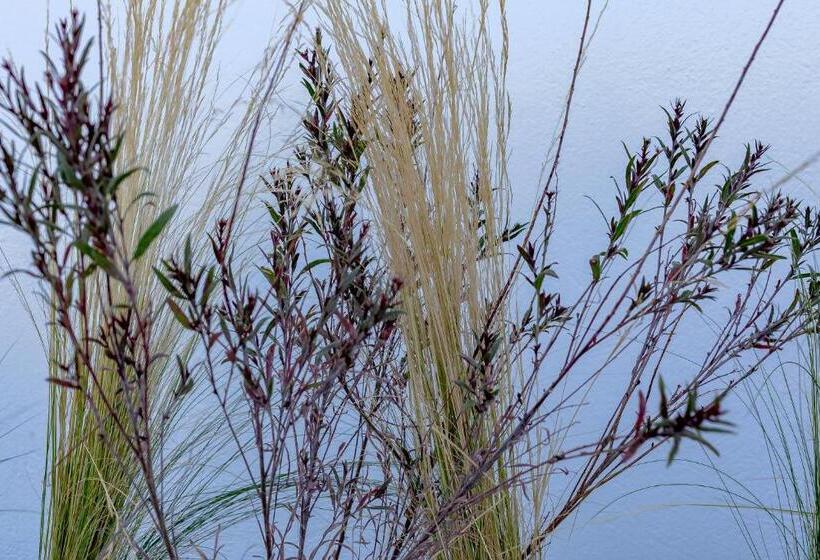 Полулюкс Вид на Море, Divino Suites