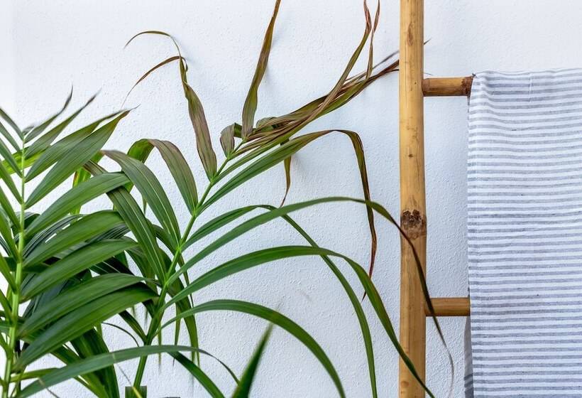 Полулюкс Вид на Море, Divino Suites