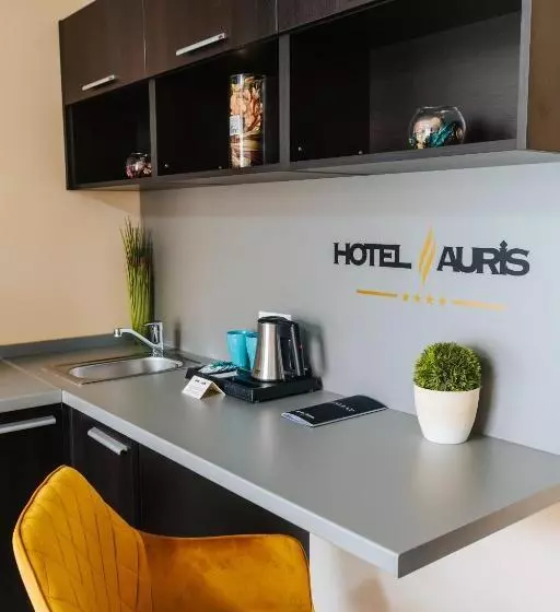 اتاق استاندارد, Auris