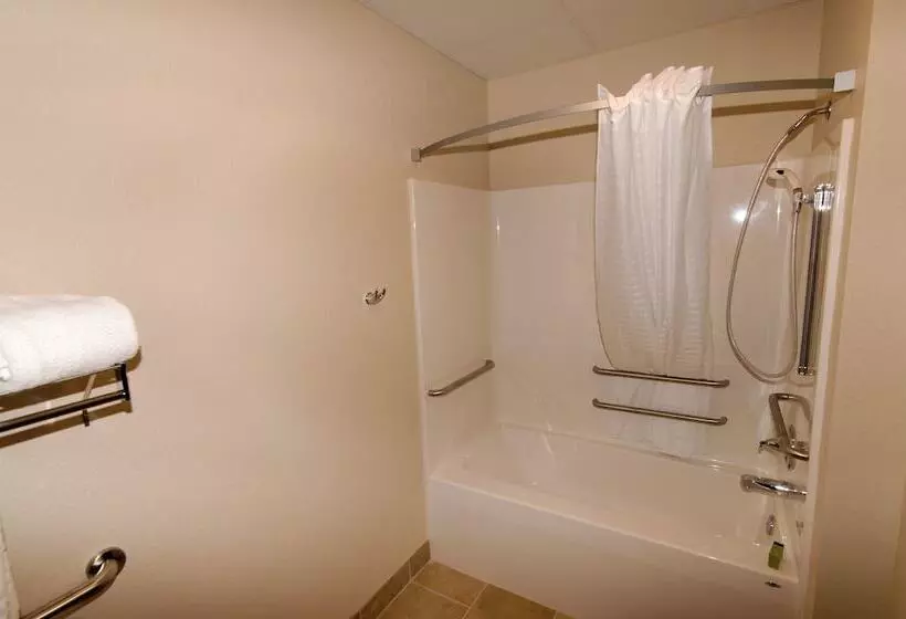 身障者適用キングサイズベッドルーム, Cobblestone Inn & Suites   Denison | Oak Ridge