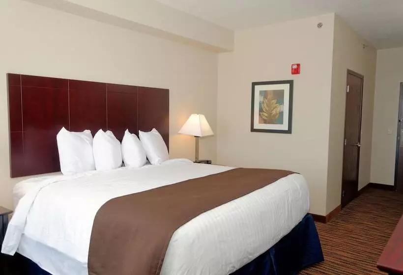 身障者適用キングサイズベッドルーム, Cobblestone Inn & Suites   Denison | Oak Ridge