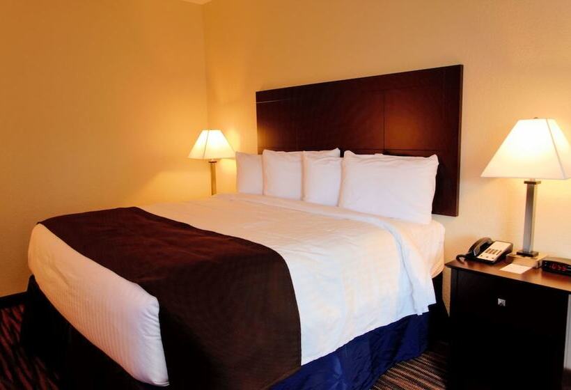 장애인을 위한 킹사이즈 침대 스탠다드 룸, Cobblestone Inn & Suites   Denison | Oak Ridge