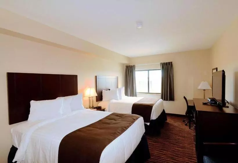 スタンダードルーム, Cobblestone Inn & Suites   Denison | Oak Ridge