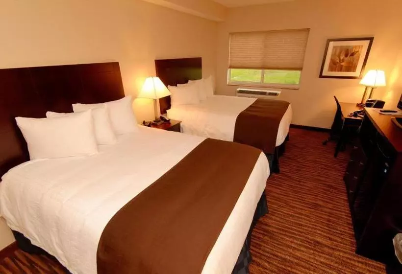 スタンダードルーム, Cobblestone Inn & Suites   Denison | Oak Ridge