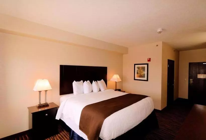 キングサイズベッドのスタンダードルーム, Cobblestone Inn & Suites   Denison | Oak Ridge
