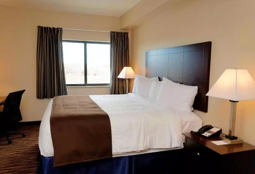 キングサイズベッドのスタンダードルーム, Cobblestone Inn & Suites   Denison | Oak Ridge