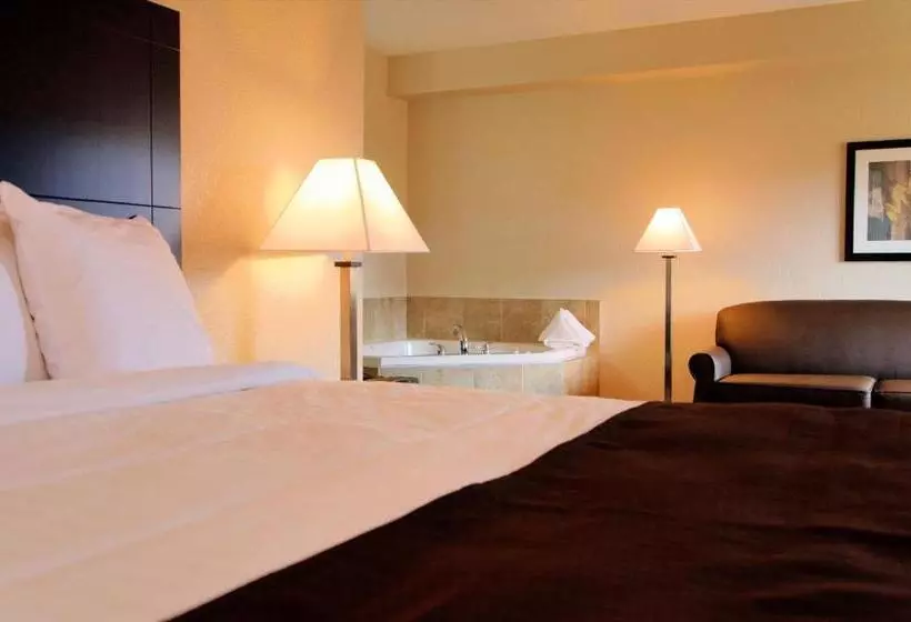 ハイドロマッサージバス付きスイート, Cobblestone Inn & Suites   Denison | Oak Ridge
