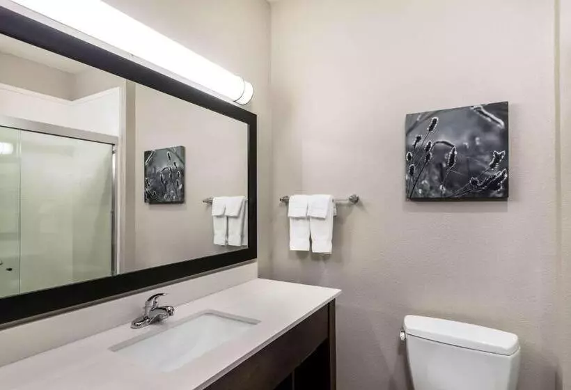 スタンダードルーム, La Quinta By Wyndham Claremore