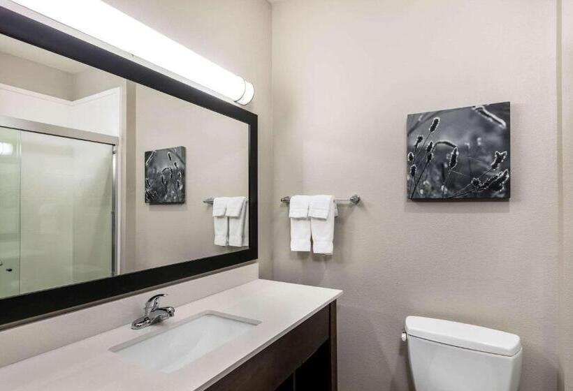 غرفة قياسية سرير كينج, La Quinta By Wyndham Claremore