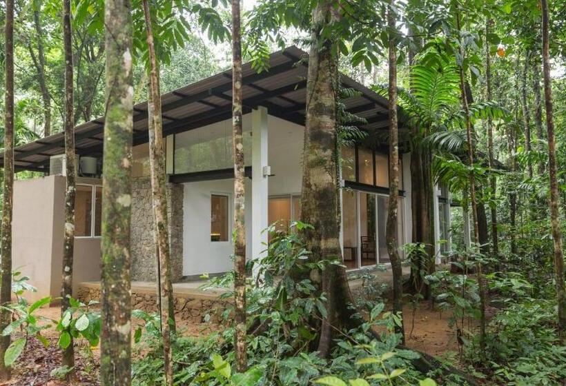 Люкс с гидромассажем, Palmstone Retreat