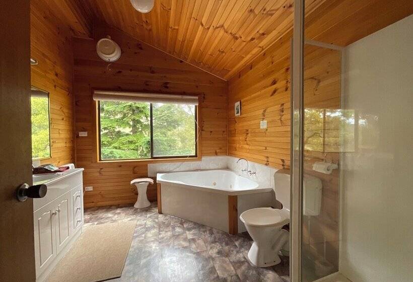 マウンテンビューのワンルーム, Silver Ridge Retreat
