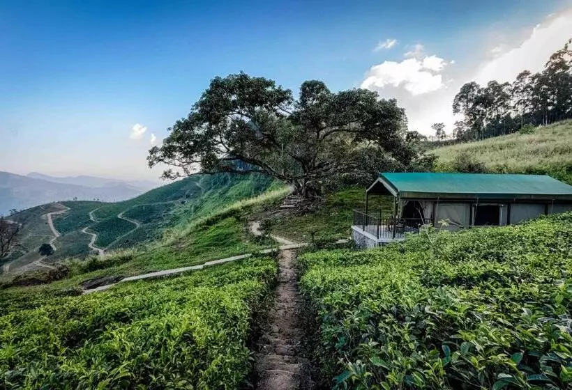Deluxe Tent, Madulkelle Tea And Eco Lodge