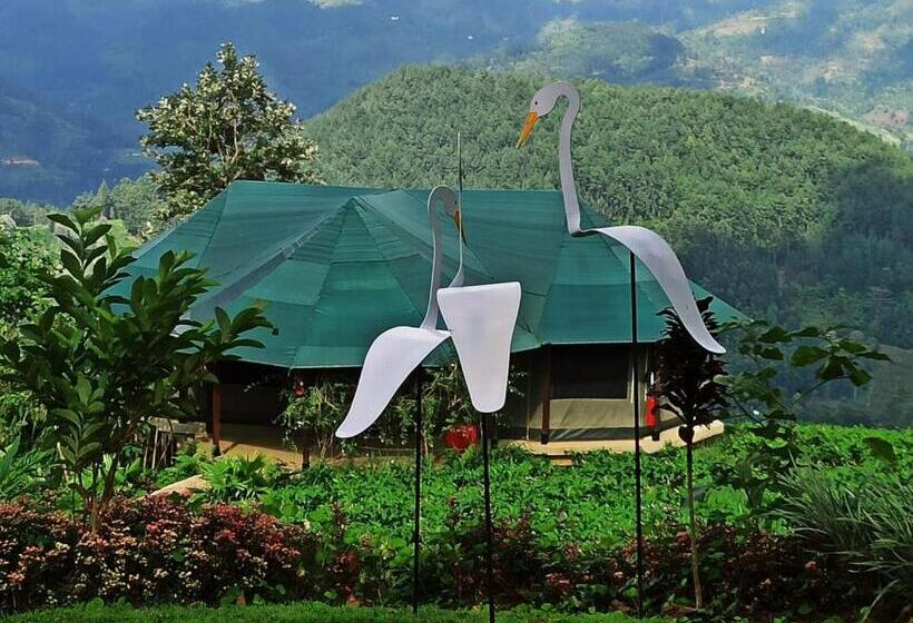 Люкс с Видом, Madulkelle Tea And Eco Lodge