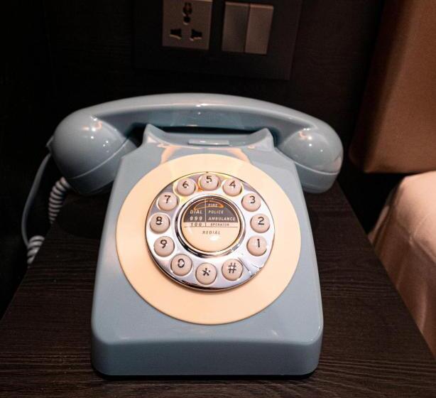 اتاق لوکس یک تخته, Hyde Park Green