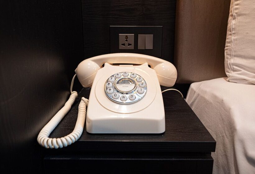 اتاق لوکس چهار تخته, Hyde Park Green