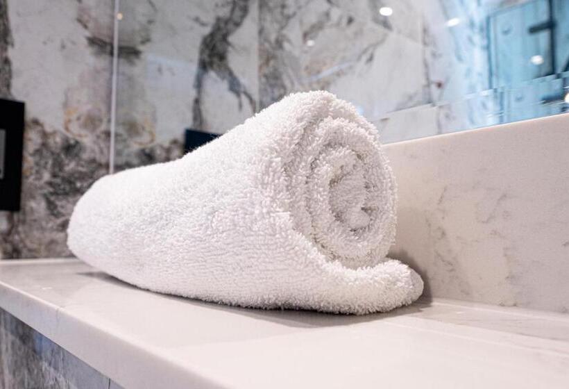 اتاق لوکس یک تخته, Hyde Park Green