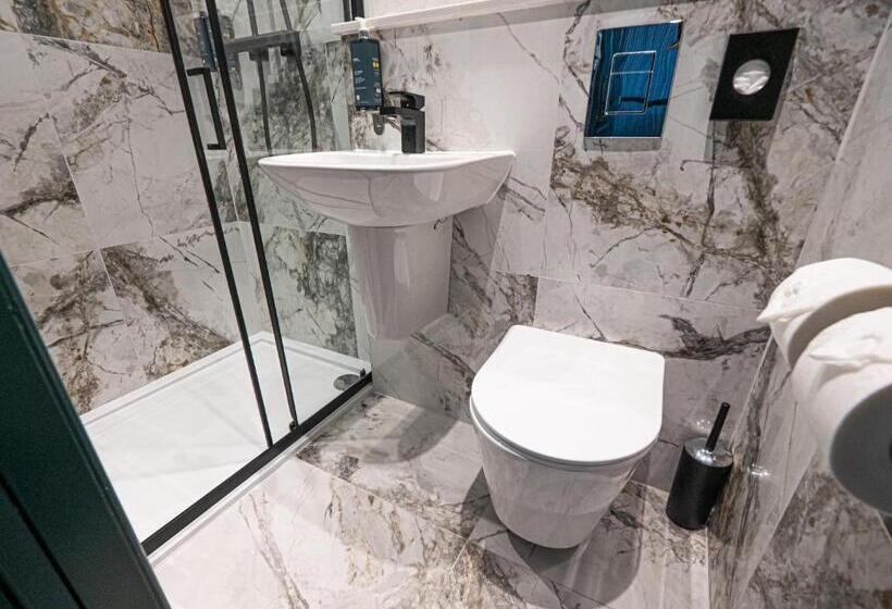 اتاق لوکس سه تخته, Hyde Park Green