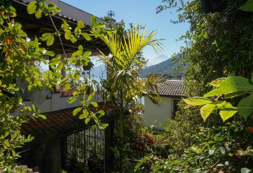 اتاق خانوادگی, Mikaso