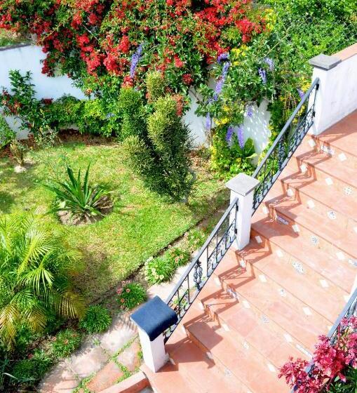 اتاق اجرایی, Mikaso