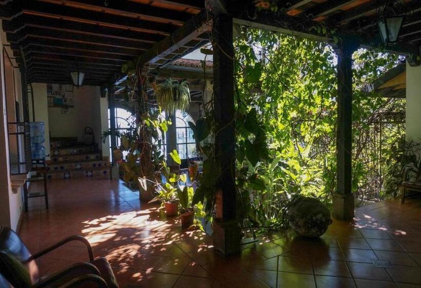 اتاق استاندارد چهار تخته, Mikaso