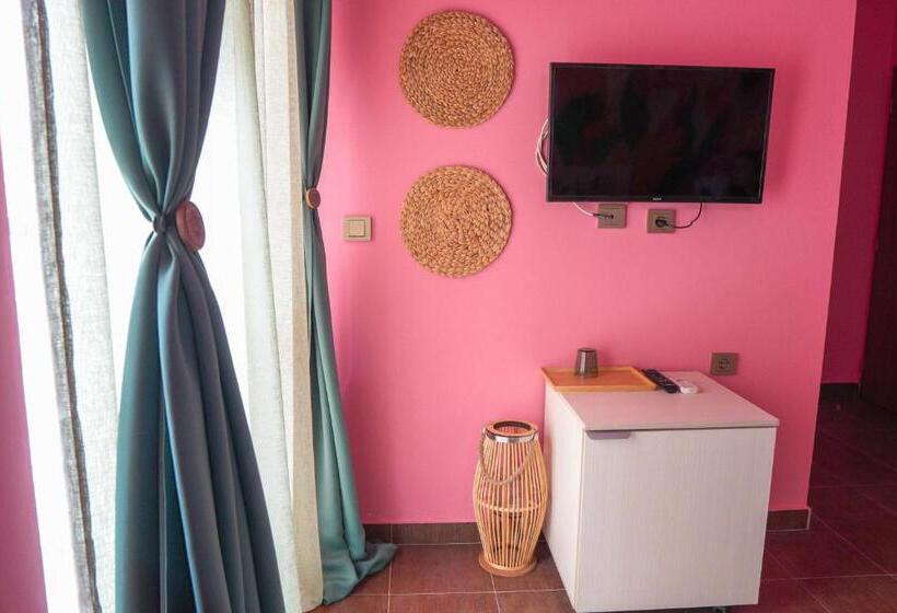 اتاق استاندارد یک نفره, Pamela Concept