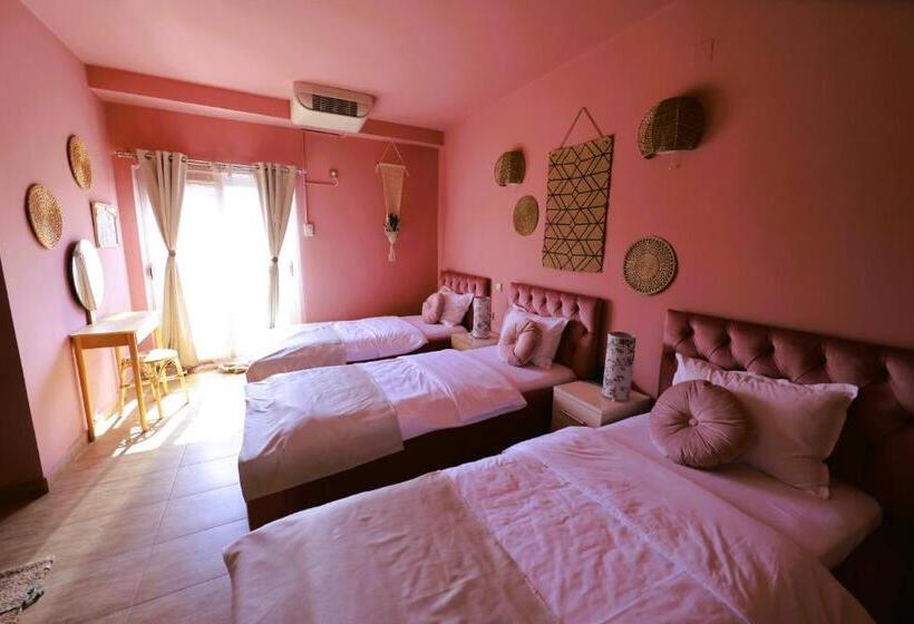 اتاق استاندارد سه نفره, Pamela Concept