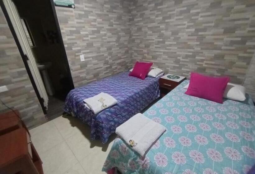 스탠다드 룸, El Opita