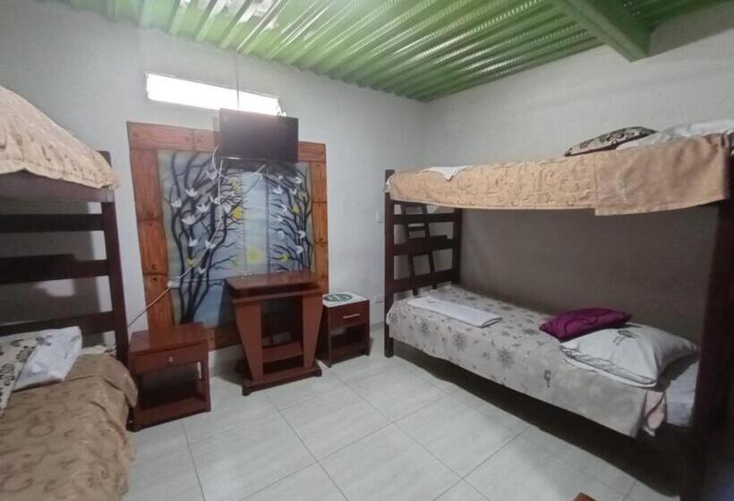 스탠다드 4인용 룸 공용 욕실, El Opita