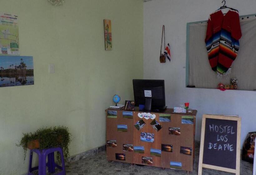 이코노미 룸, Los De A Pie