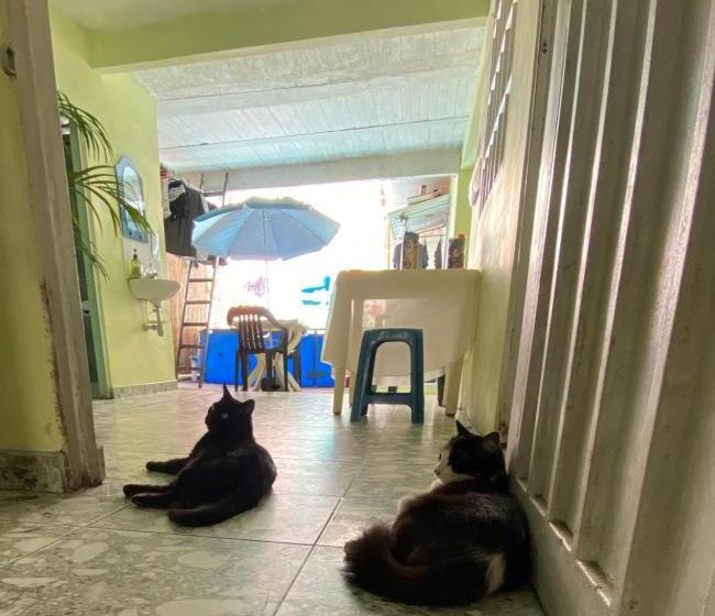 이코노미 룸, Los De A Pie