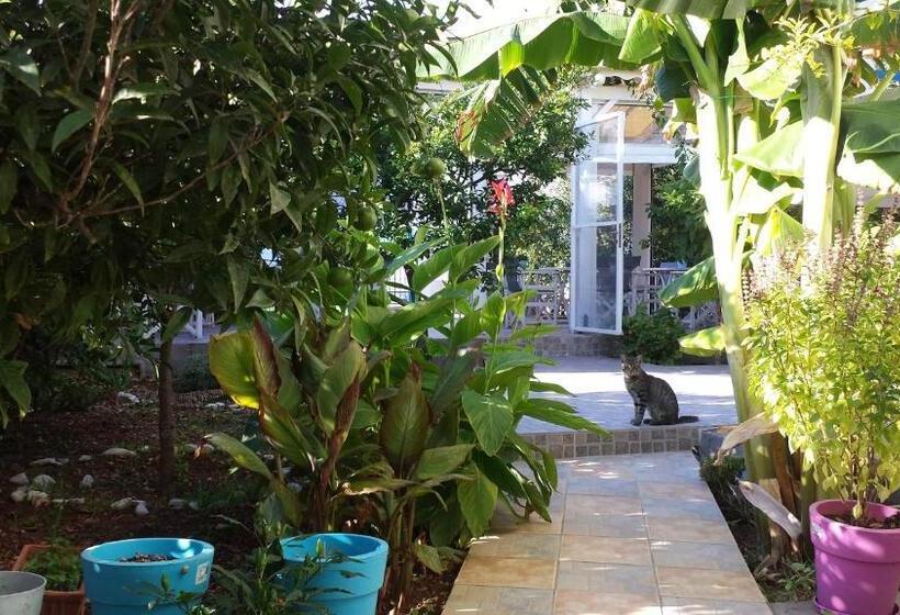 חדר סטנדרט עם מרפסת, Akrogiali