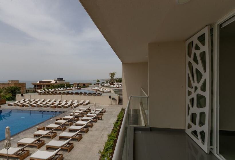 کلبه ییلاقی, Whitelace Resort