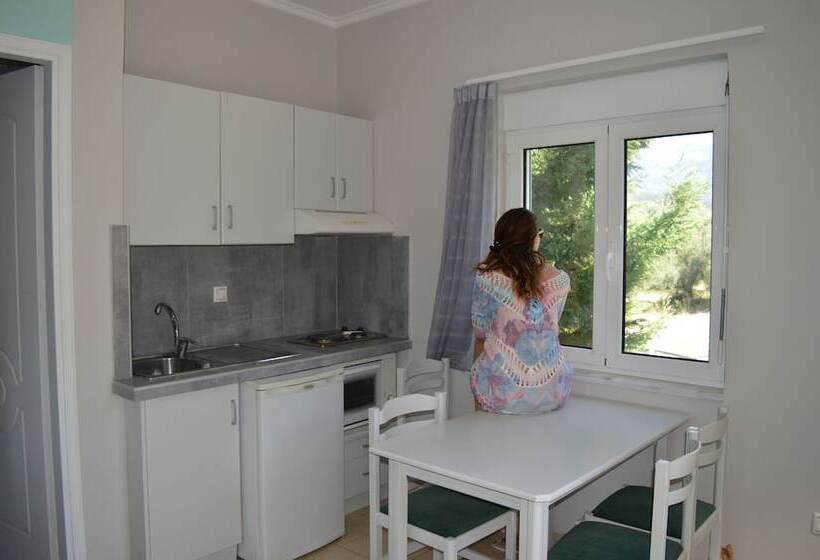 1베드룸 아파트 1층, Thesmos Village