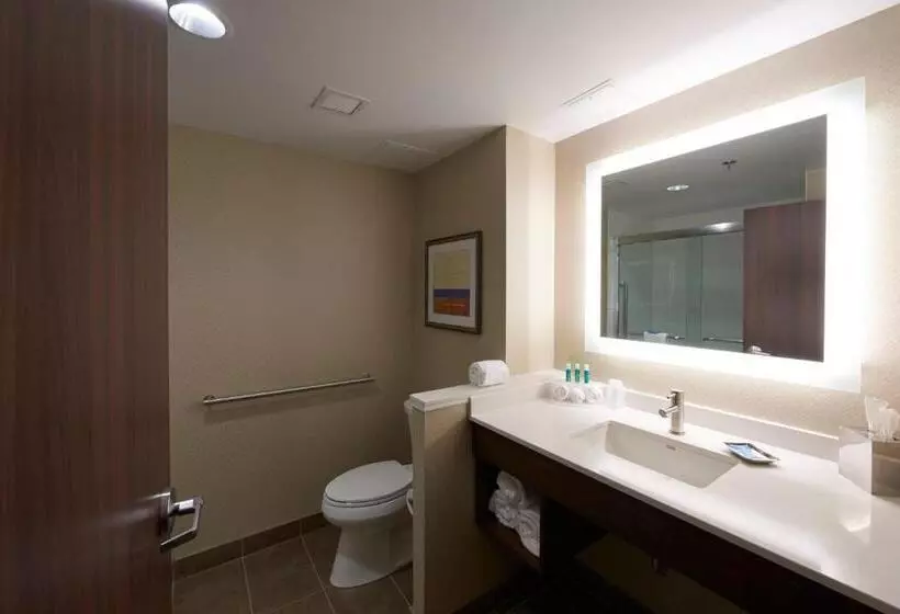 スイート, Holiday Inn Express & Suites St. John S Airport, An Ihg