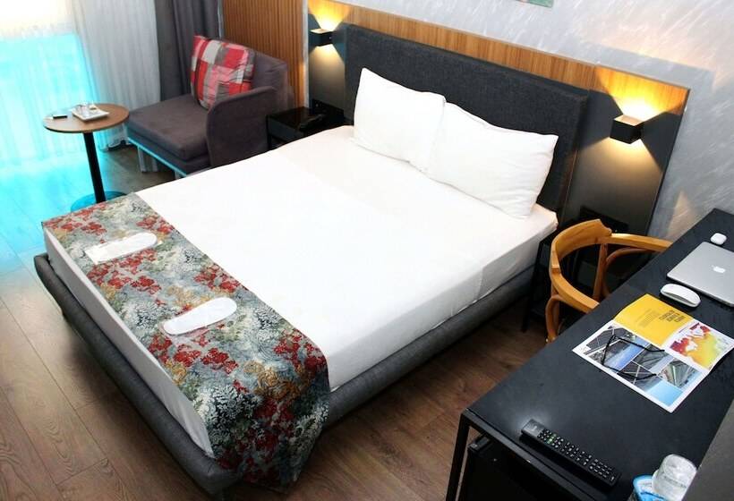 豪华单人间, Istanbul Fair