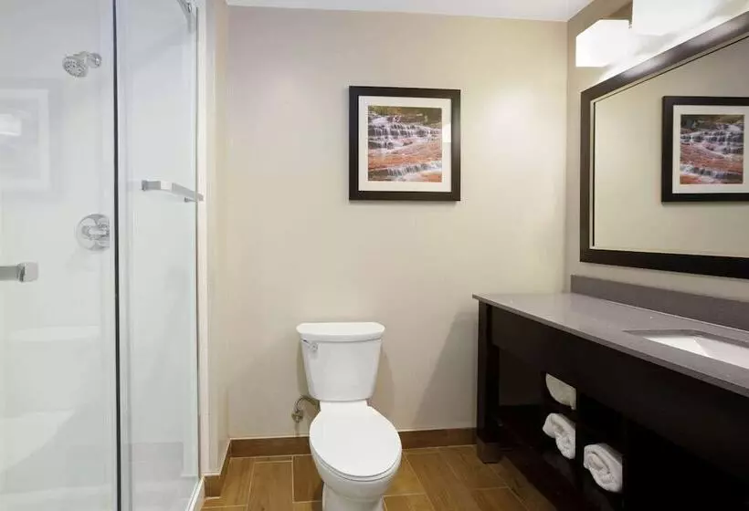 اتاق استاندارد با تخت دوبل برای معلولان, La Quinta By Wyndham Cedar City
