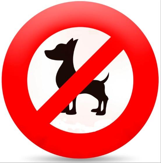 デラックスの４人部屋, Marina Estância Confiança