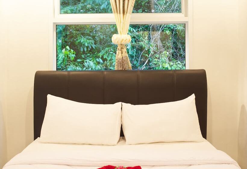 スタンダードスタジオ, Pandora