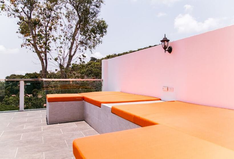 １ベッドルームペントハウスアパート, Pandora