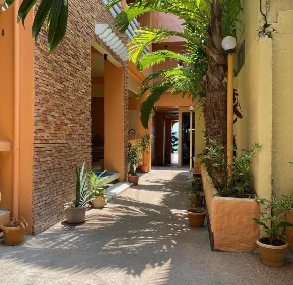 استودیوی لوکس, Papa Freds Beach Resort