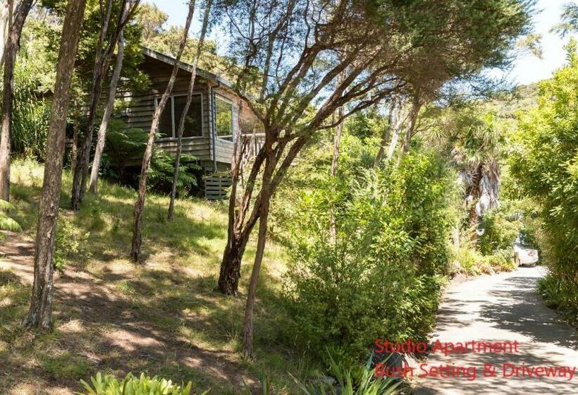 Студия Стандарт, Bay Of Islands Holiday Apartments