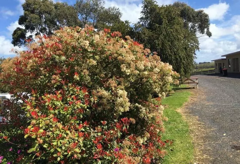 Superior-perhehuone, Limestone Coast Tourist Park