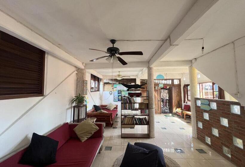 Кровать в Общей Комнате, Seabreeze Hostel Bali