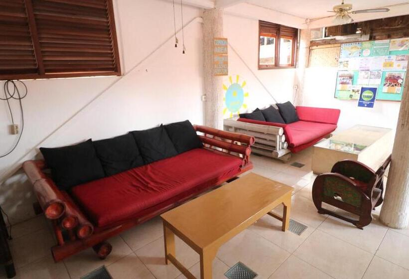 Кровать в Общей Комнате, Seabreeze Hostel Bali