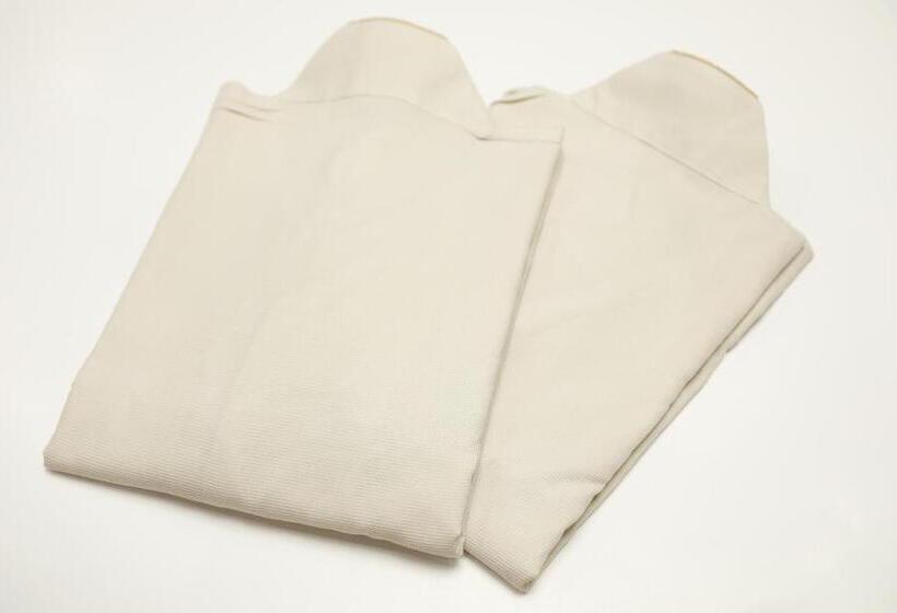 带双人床的基本房间, Sunroute Hikone