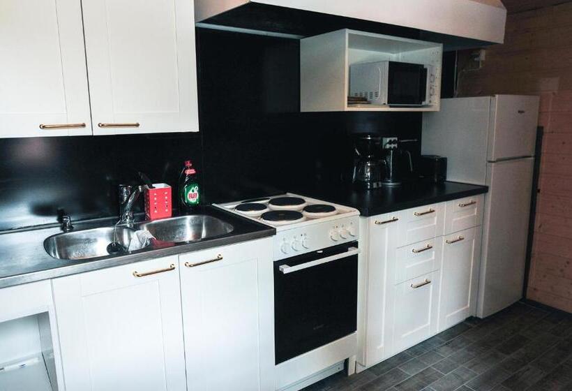 Дом 1 Спальня, Tankavaara Gold Village