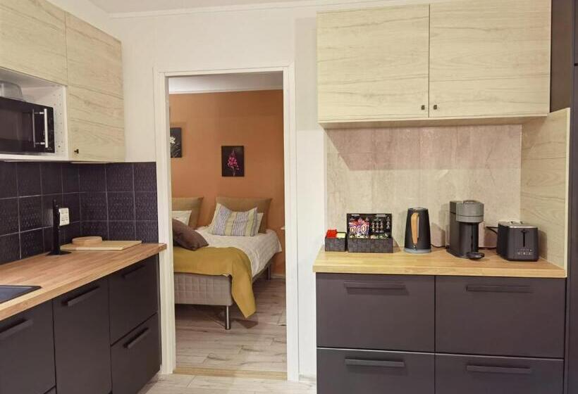 Апартаменты Deluxe 1 Спальня, Tankavaara Gold Village