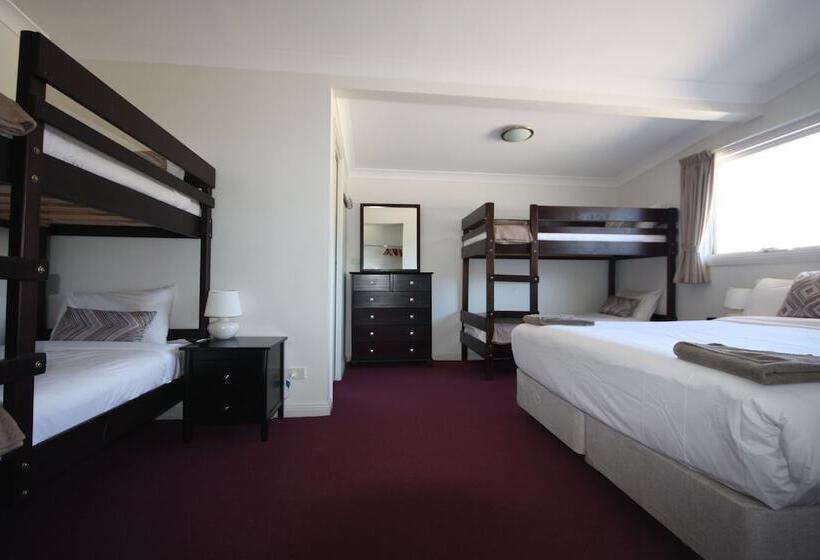 חדר משפחתי, The Lions Lair