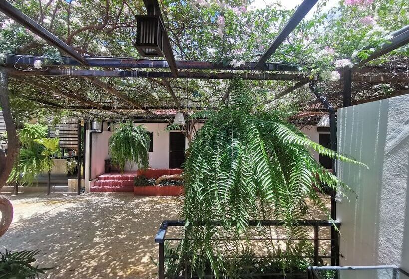 חדר סופריור, Amara Resort Hua Hin