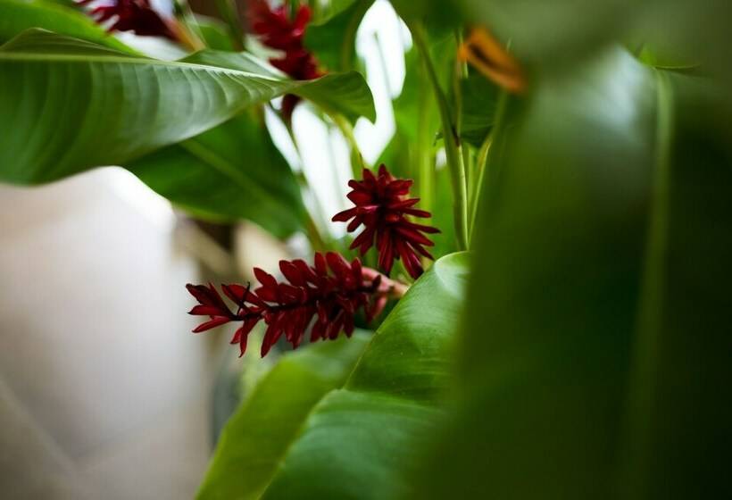 Номер Superior, Wilacha Chiangrai